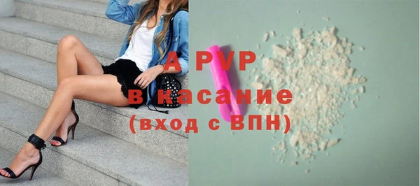 стафф Струнино
