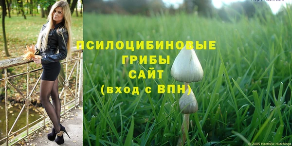тгк Беломорск