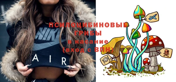 тгк Беломорск