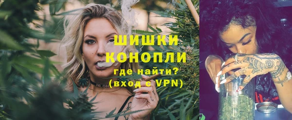 Альфа ПВП Белокуриха