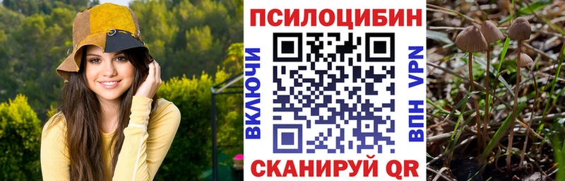 как найти наркотики  Краснотурьинск  Псилоцибиновые грибы прущие грибы 